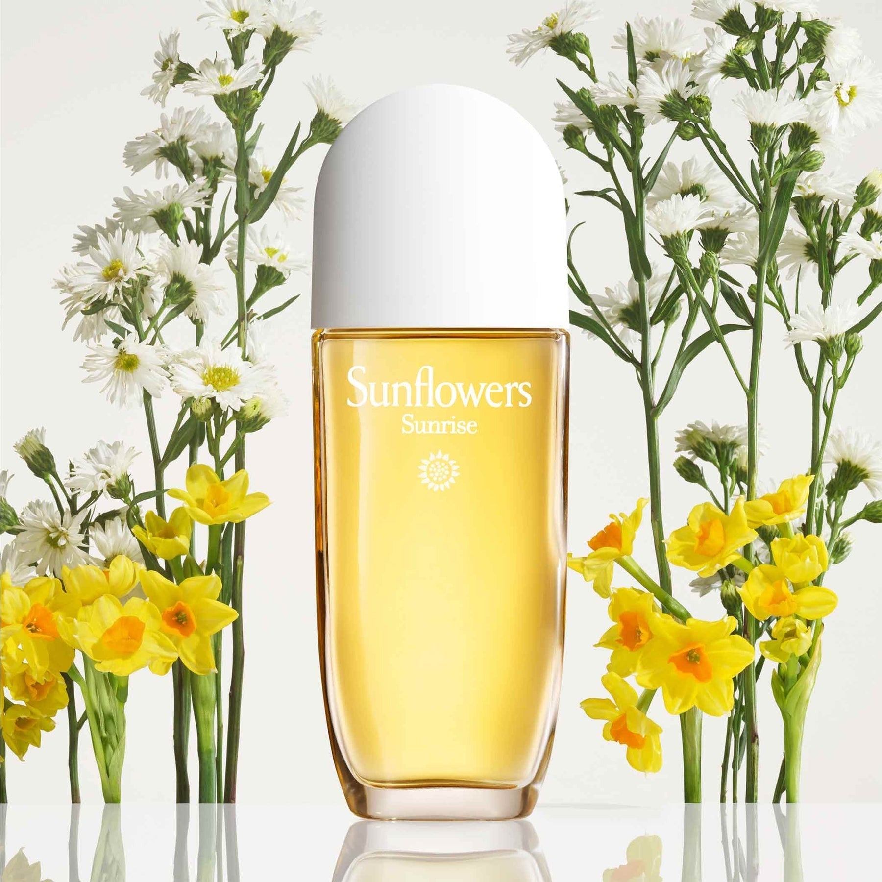 Sunflowers Sunrise para Mujer / 100 mL Eau de Toilette Spray