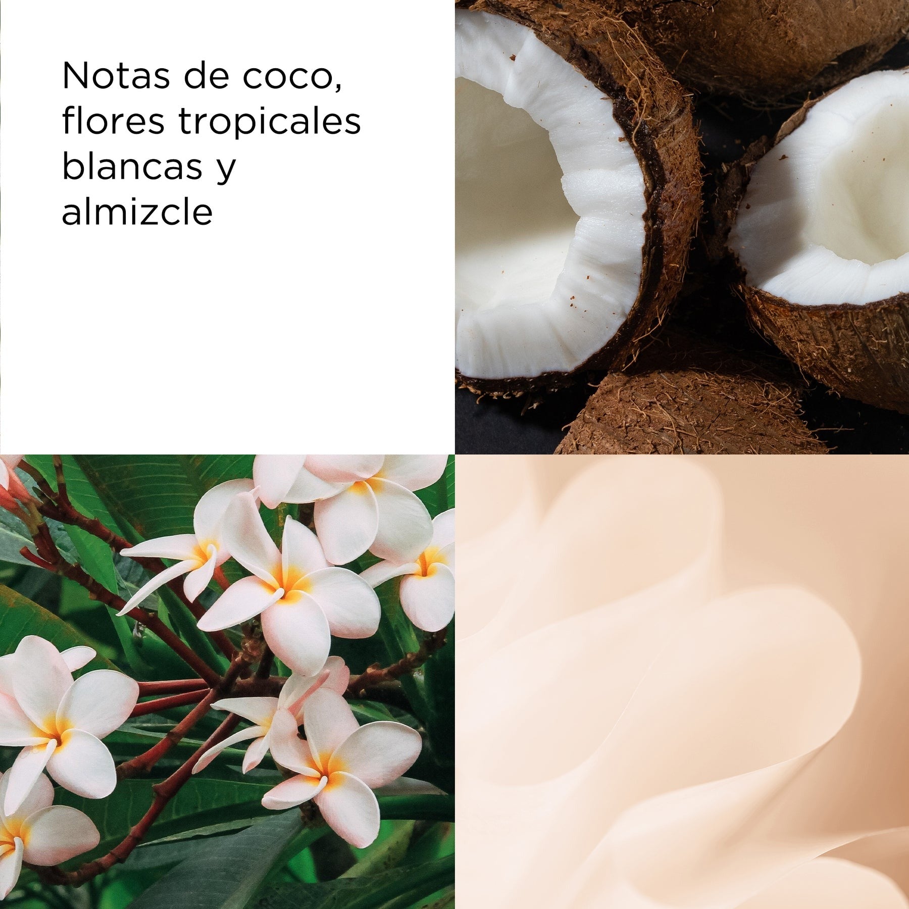 Green Tea Coconut Breeze para Mujer / 100 mL Eau de Toilette Spray