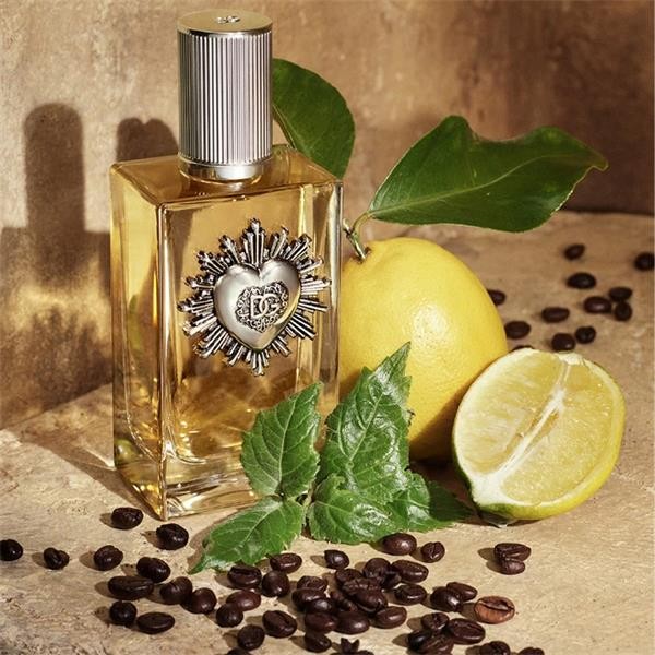 Devotion para Hombre / 100 mL Eau de Parfum Spray