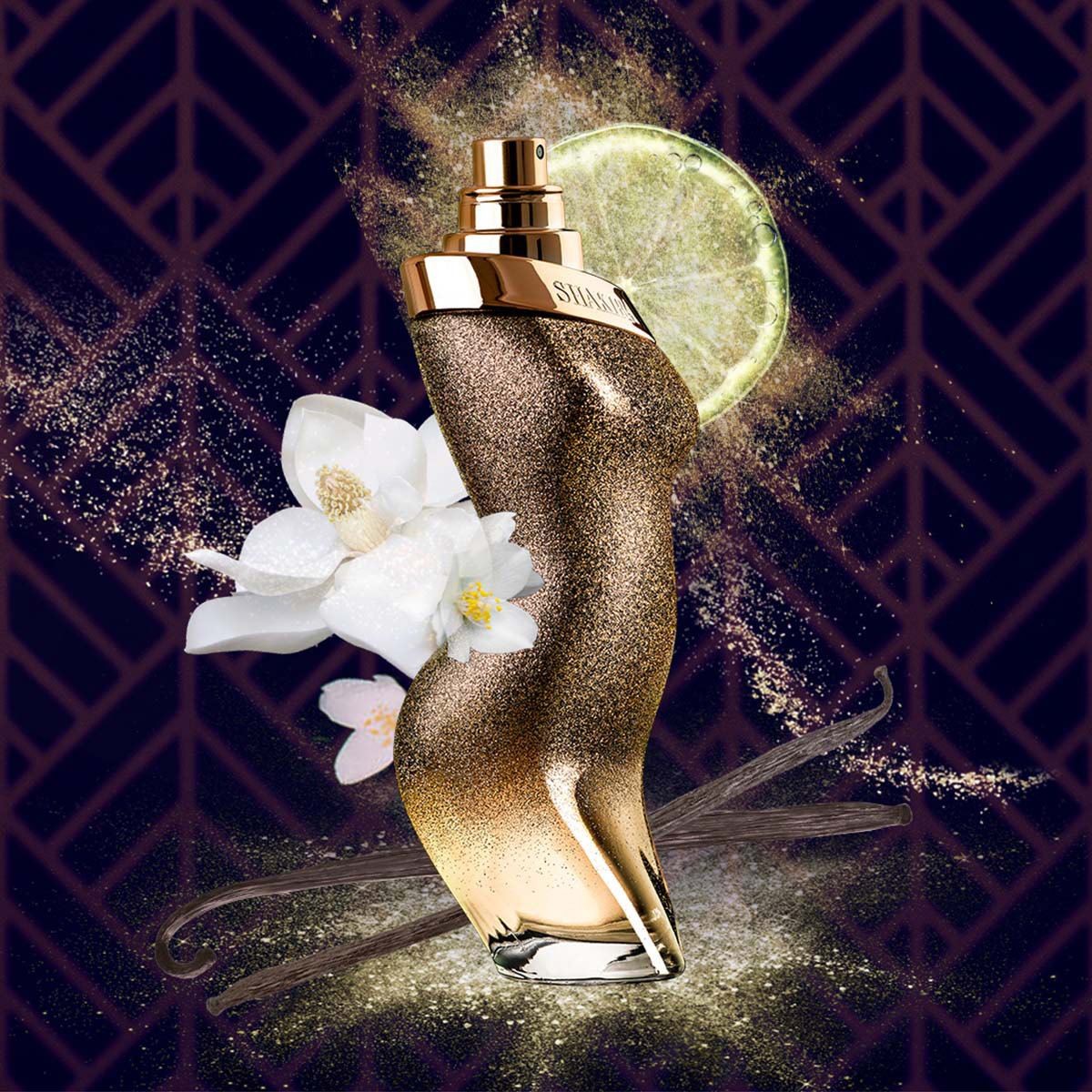 Dance Midnight para Mujer / 80 mL Eau de Toilette Spray