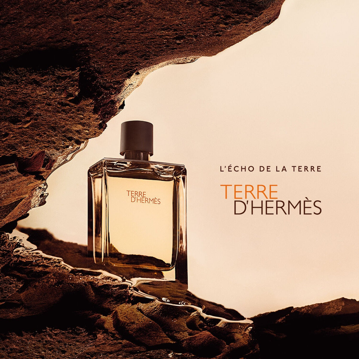 Terre d'Hermes para Hombre / 100 mL Eau de Toilette Spray