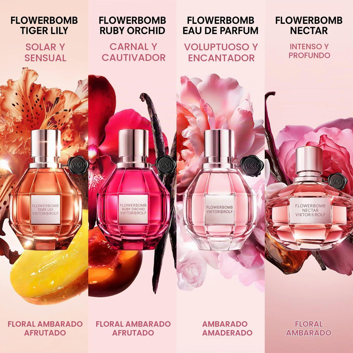Flowerbomb para Mujer / SET - 100 mL Eau de Parfum Spray