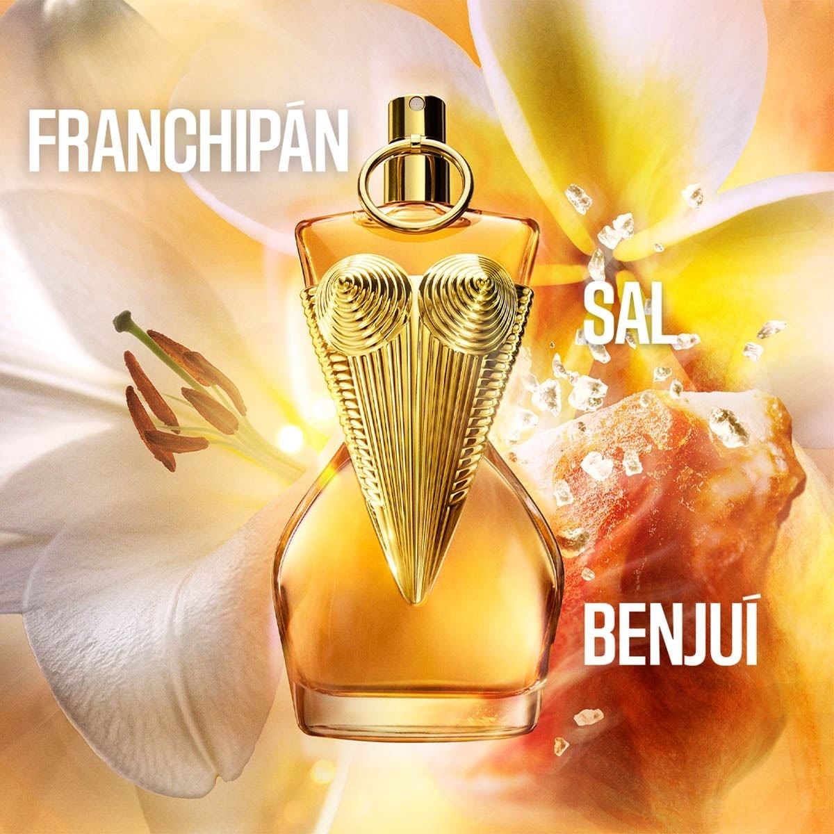 Gaultier Divine Le Parfum para Mujer / 100 mL Eau De Parfum Intense Spray RECARGABLE