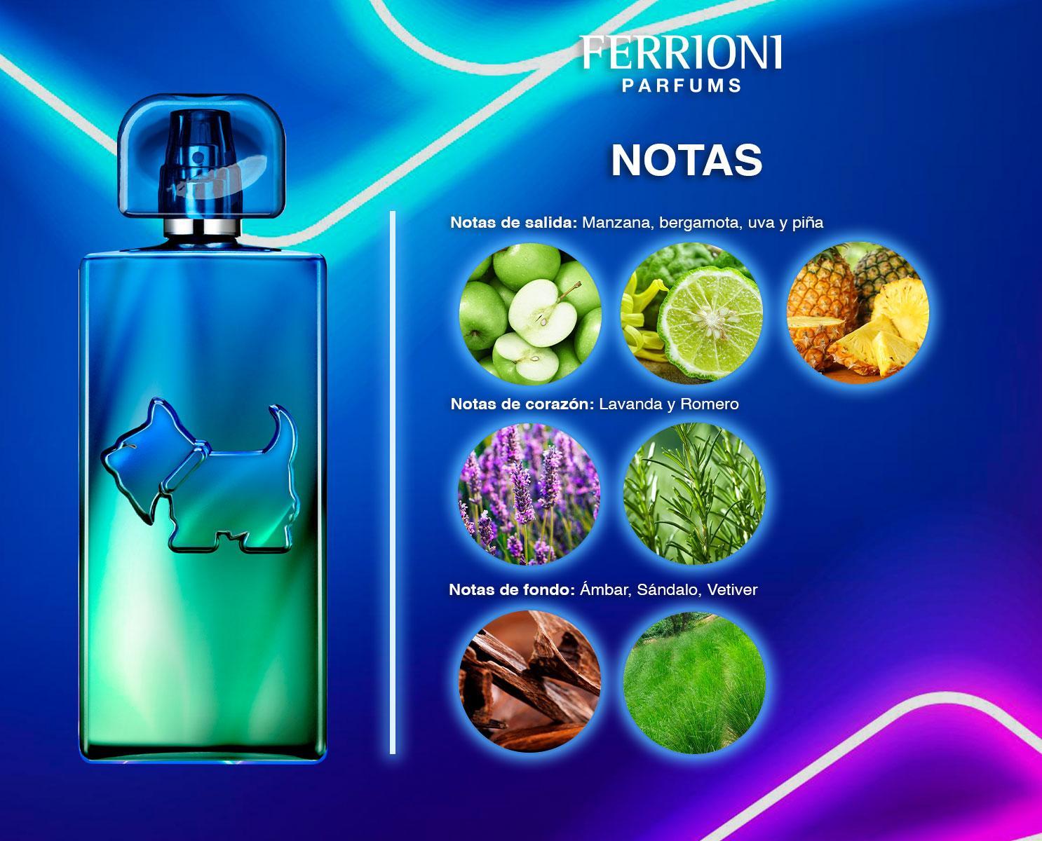 Perfume ferrioni 2025 hombre